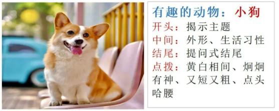 小狗「看图说话」(图1)