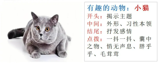 小猫「看图说话」(图1)